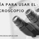 Características del Microscopio: Todo lo que Necesitas Saber