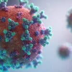 Clasificación de virus: ¿Cuáles son los tipos más comunes?