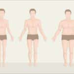 Cuerpo masculino y femenino: Lo que necesitas saber sobre sus diferencias
