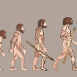 Descubre cómo vivían los humanos en la prehistoria
