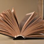 Descubre la definición de novela contemporánea: una introducción completa
