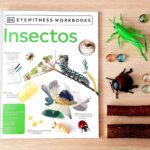 Descubre la diversidad de insectos con 'd': datos curiosos y fascinantes