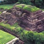 Descubre la diversidad de la flora de Mesoamérica: Una guía completa