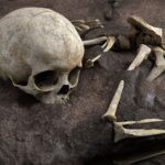 Descubre la fascinante historia de los hombres primitivos
