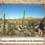 Descubre la fascinante historia del territorio de Aridoamérica