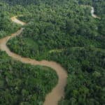 Descubre la ubicación exacta de la selva virgen en nuestro planeta