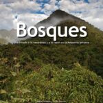 Descubre las características de la población rural en Venezuela: una mirada profunda