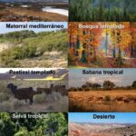 Descubre las características y aprovechamiento de los ecosistemas